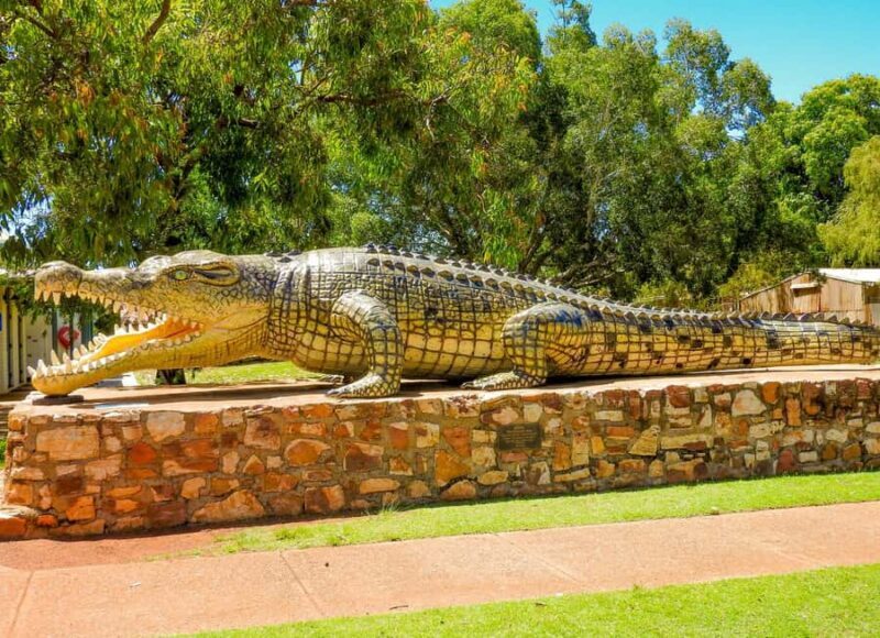 Darwin to Cairns: Kakadu & Gulf Savannah 11 Day Tour - Overview of the Tour Experience