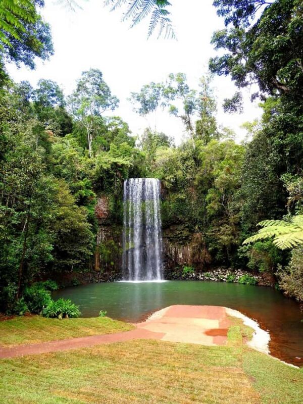 Darwin to Cairns: Kakadu & Gulf Savannah 11 Day Tour - Transport, Group Size, and Value