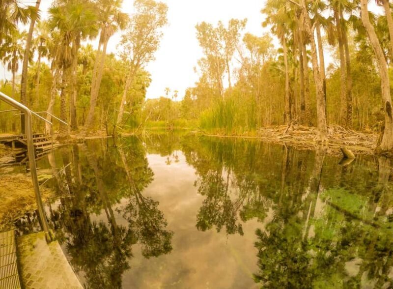 Darwin to Cairns: Kakadu & Gulf Savannah 11 Day Tour - Practical Tips for Travelers