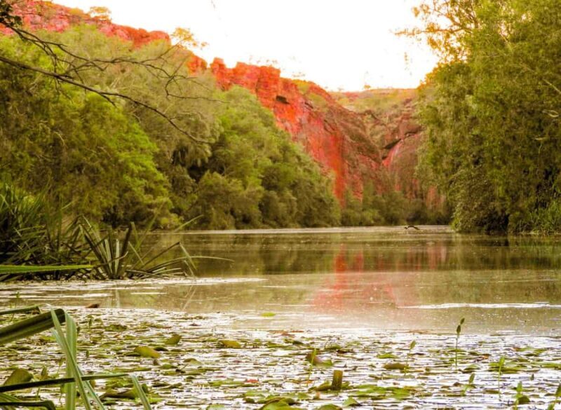 Darwin to Cairns: Kakadu & Gulf Savannah 11 Day Tour - FAQ