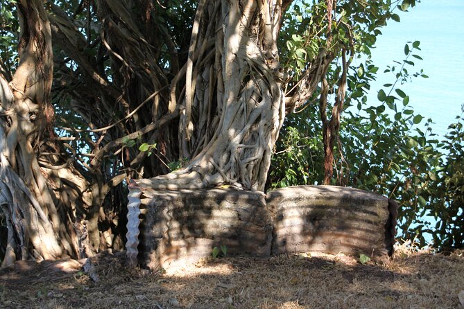 Darwin Walking Tour: World War II Reflections - The Sum Up