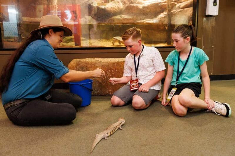 Darwin: Whipray Encounter with Entry to Crocosaurus Cove - Good To Know