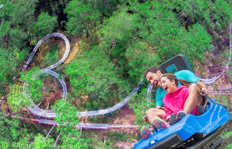 Datanla New Alpine Coaster Experience in Da Lat - At a glance