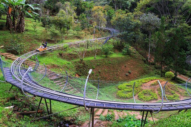 Datanla New Alpine Coaster Tour Experience Ticket - Who Should Try This Experience?