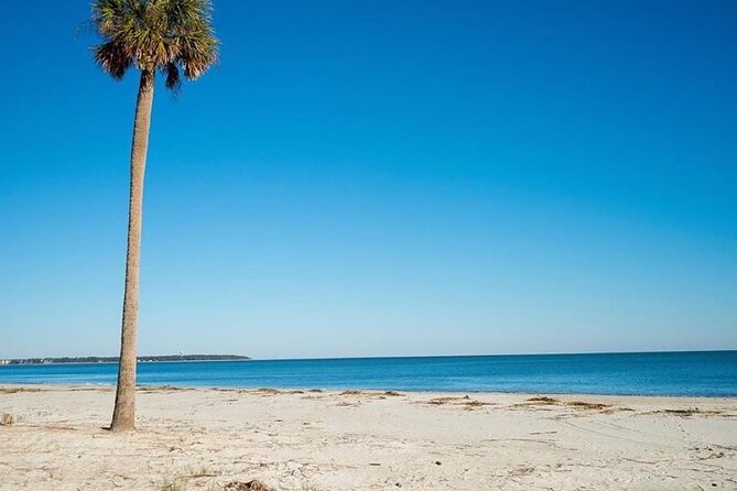 Daufuskie Day Trip Package (4 Person) Ferry Plus Golf Cart - The Sum Up