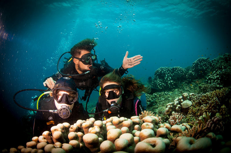 Dauin Marine Sanctuary: Explore Dumaguete with PADI 5* Center - Is the starting price good value?