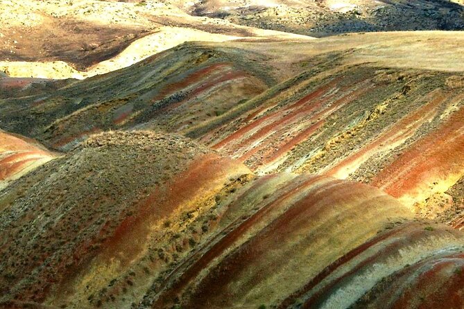 Davit Gareji and the Natlismcemeli Monastery+ Wine Factory - Operator and Cancellation Policy