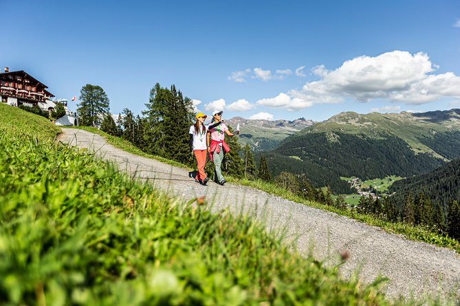 Davos Foxtrail Cuolm Strinau - Additional Information