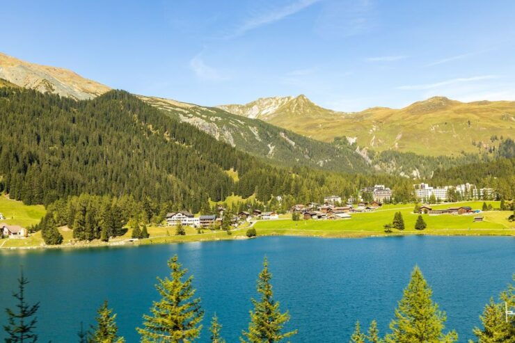 Davos - Private Walking Tour - Tour Booking and Payment Details