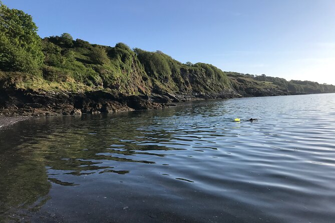 Dawn Pilgrimage and Swim in West Cork - Frequently Asked Questions