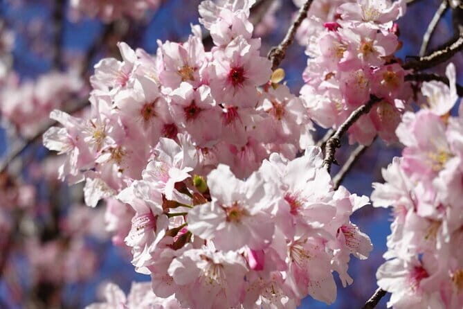 Daxi Xiaowulai: One Day Tour from Taipei - The Sum Up