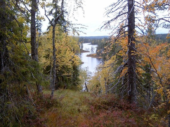 Day at Korouoma Canyon National Park & Auttiköngäs Falls - Trip Overview