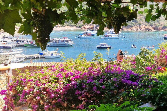 Day at Scandola and Calanques de Piana in a small group - Final Thoughts