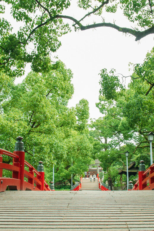 Day Bus Trip to Fruits Pick & Dazaifu, Yanagawa in Fukuoka - Who Will Love This Tour?