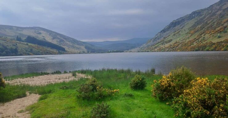 Day Car Trip Explore Amazing County Wicklow , Dublin-Wicklow - Good To Know