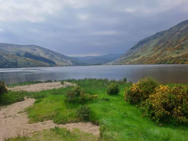 Day Car Trip Explore Amazing County Wicklow , Dublin-Wicklow - Natural Wonders of Wicklow Mountains