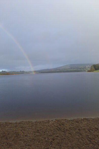 Day Car Trip Explore Amazing County Wicklow , Dublin-Wicklow - Flexible Booking and Language Options