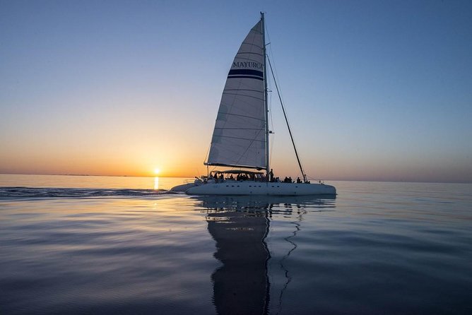 Day Catamaran Trip: Cap Des Freus and Llevant Natural Park - Trip Overview