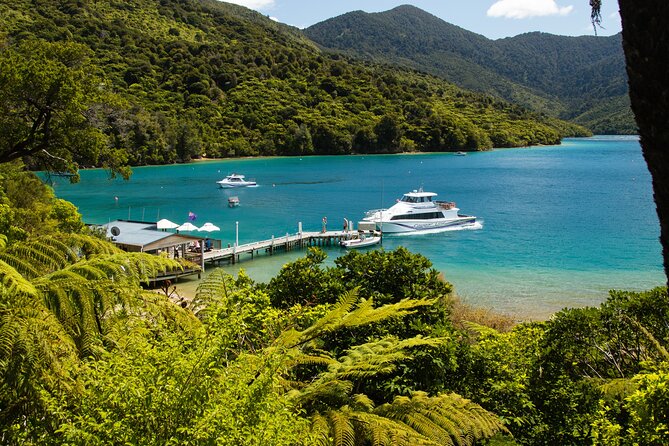 Day Cruise & Lunch at Punga Cove Resort - Resort Amenities