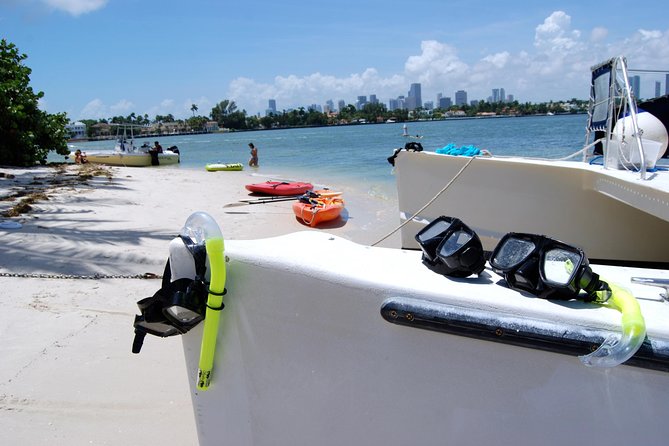 Day Cruise to Miami Island With Free Time to Kayak - Important Information and Guidelines