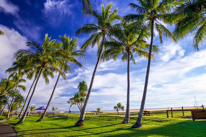 Day Cruise to Tangalooma Island Resort on Moreton Island - Tour Duration and Timing Constraints