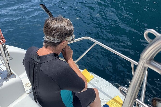 Day Cruise With Hike and Snorkeling From Waiheke, Hauraki Gulf  - Waiheke Island - Overview and Activities