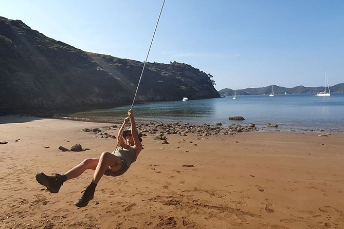 Day Cruise With Hike and Snorkeling From Waiheke, Hauraki Gulf  - Waiheke Island - Schedule and Logistics