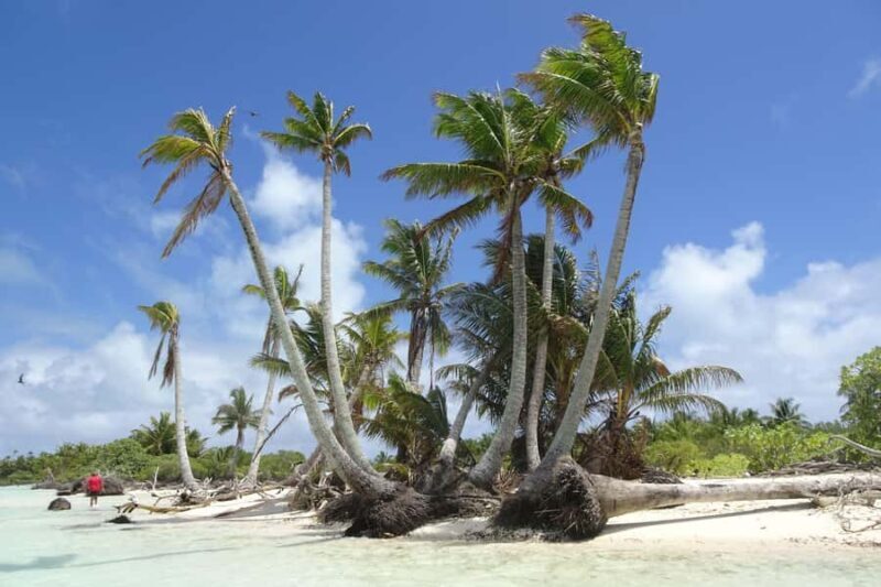 Day cruises to Tetiaroa - FAQ About the Tetiaroa Day Cruise