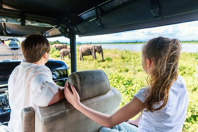 Day Excursion at Udawalawe National Park From Galle - Insightful Guided Commentary