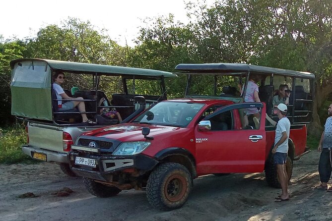 Day Excursion From Colombo to Yala Safari (Leopard Safari Tour) - Return Journey to Colombo