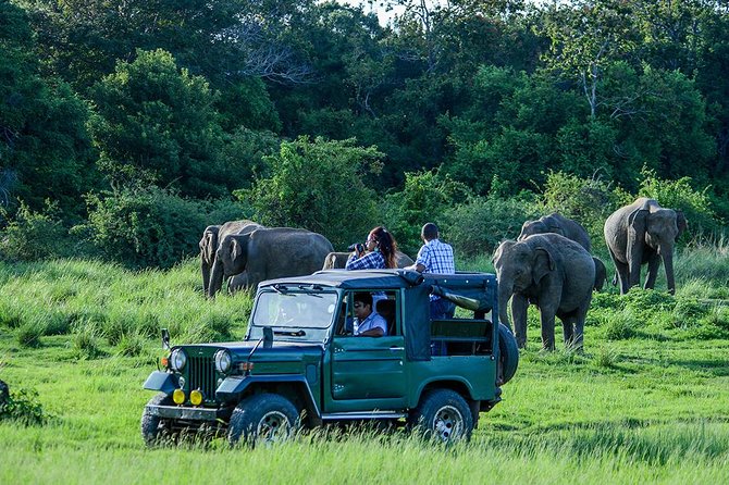 Day Excursion From Kandy to Sigiriya, Pidurangala Rock & National Park Safari - Exploring the Majestic Sigiriya Rock Fortress