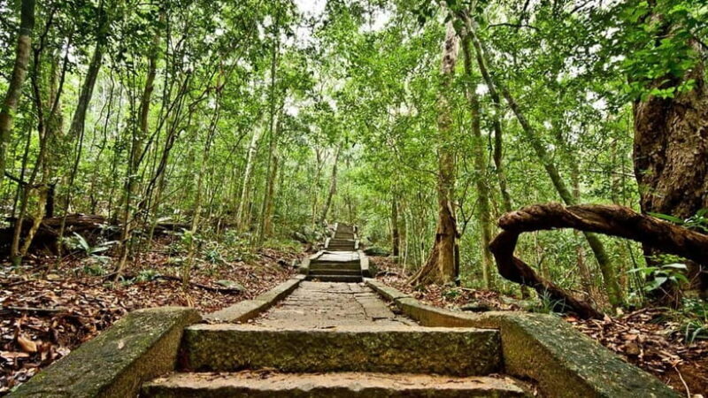 Day Excursion Sigiriya, Dambulla & Ritigala Archaeological - Good To Know