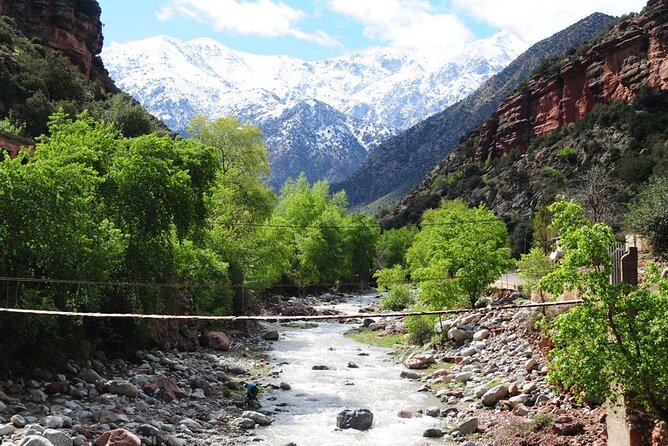Day Excursion to Atlas Mountains From Marrakech - Questions and Assistance: Accessing Help Center