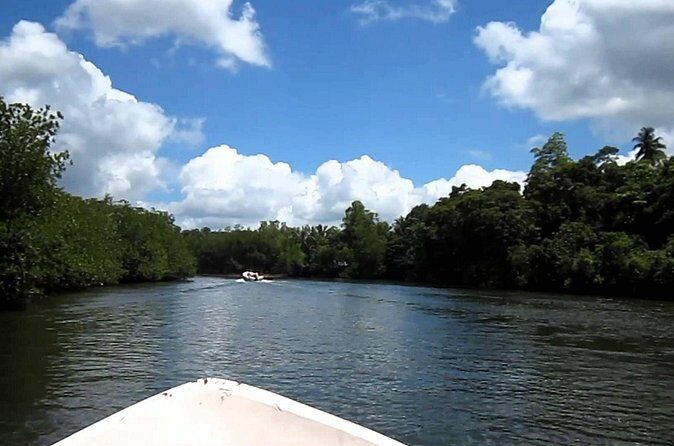 Day Excursion to Bentota from Colombo - Practical Tips for Travelers