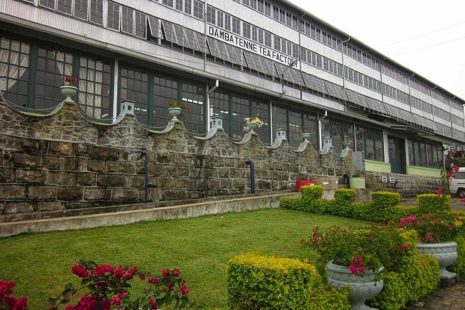 Day Excursion to Lipton Seat & Dambatenne Tea Factory From Ella - Pricing Details