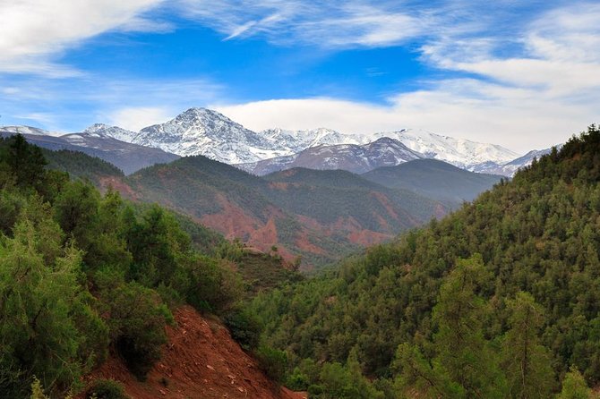 Day Excursion To Ourika Valley and High Atlas From Marrakech: Shared - Inclusions
