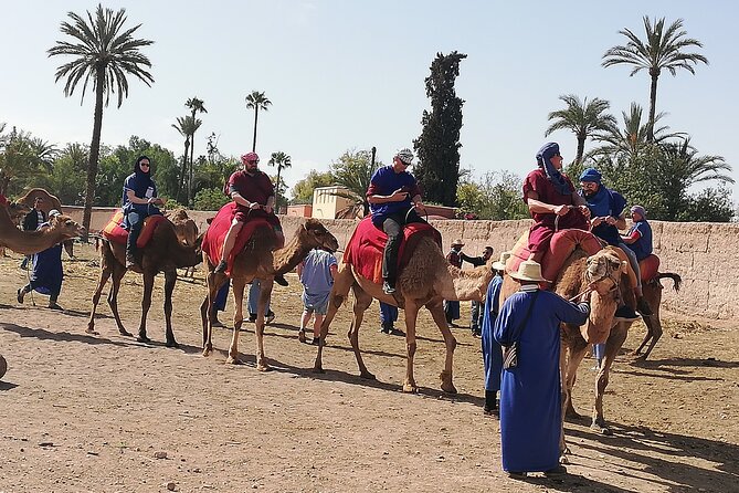 Day Excursion To Ourika Valley and High Atlas From Marrakech: Shared - Reviews and Additional Information