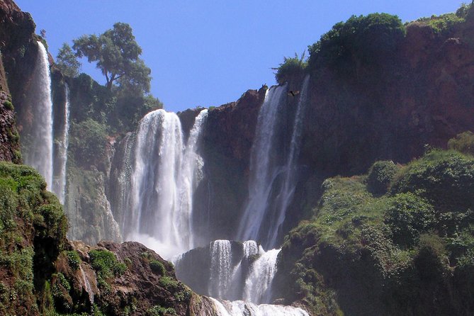 Day Excursion to Ouzoud Waterfall From Marrakech: Private - Private Tour to Ouzoud Waterfall