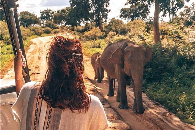 Day Excursion to Udawalawe from Colombo - Exploring the Udawalawe Day Trip from Colombo: A Genuine Adventure