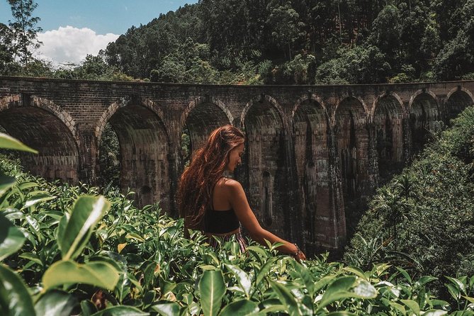 Day Excursions to Horton Plains & Local Train Experience From Ella - Requirements & Recommendations