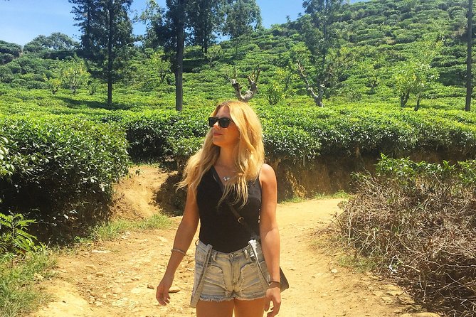 Day Excursions to Horton Plains & Local Train Experience From Ella - Price & Booking