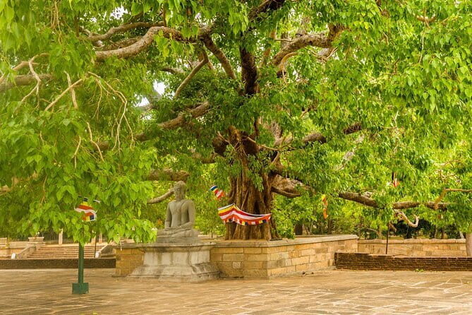 Day Excursions to UNESCO City ANURADHAPURA from Negombo - FAQ  