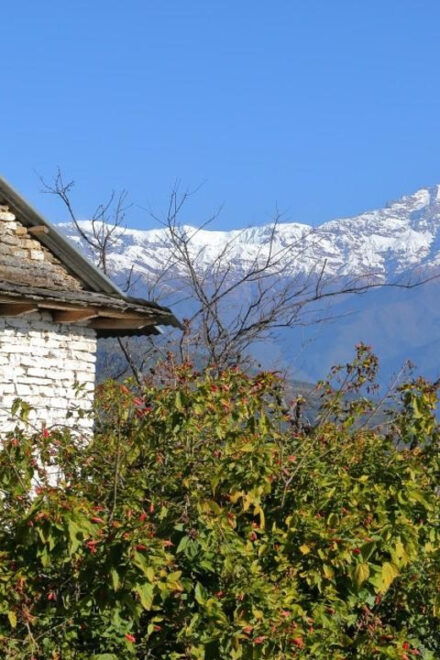 Day Hike at Annapurna Foothills - Trekking Route Details