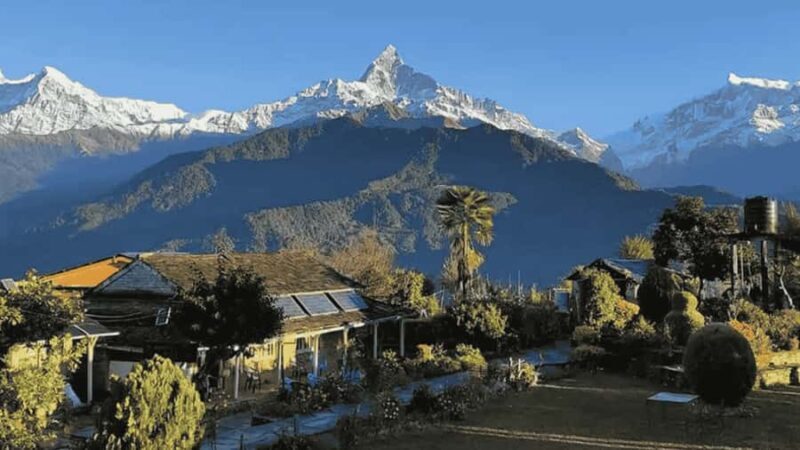 Day Hike from Dhampus to Australian Camp with Lunch - The Experience in Detail: Why This Trek Makes Sense