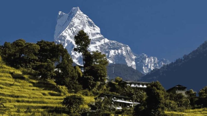 Day Hike from Dhampus to Australian Camp with Lunch - What Travelers Say: Authentic Insights