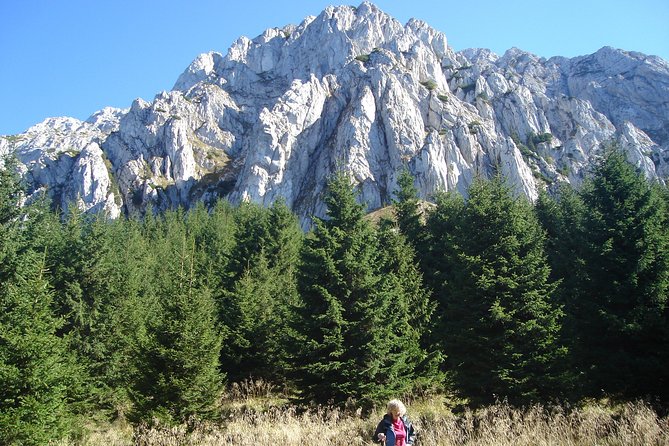 Day Hike in Carpathian Mountains for All Levels in Five Areas - What To Expect