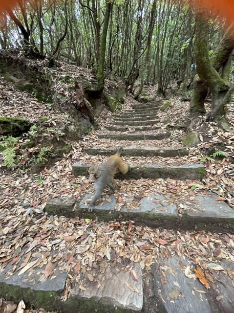 Day Hike in Kathmandu - Itinerary Highlights