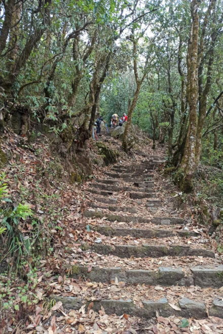 Day Hike in Kathmandu - What to Expect