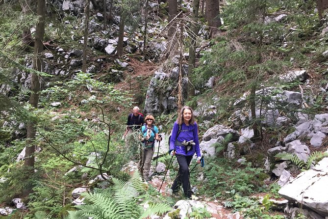 Day Hike in National Park Risnjak From Zagreb - Cancellation Policy
