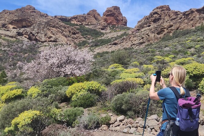 Day Hike in Roque Nublo - Trail Overview
